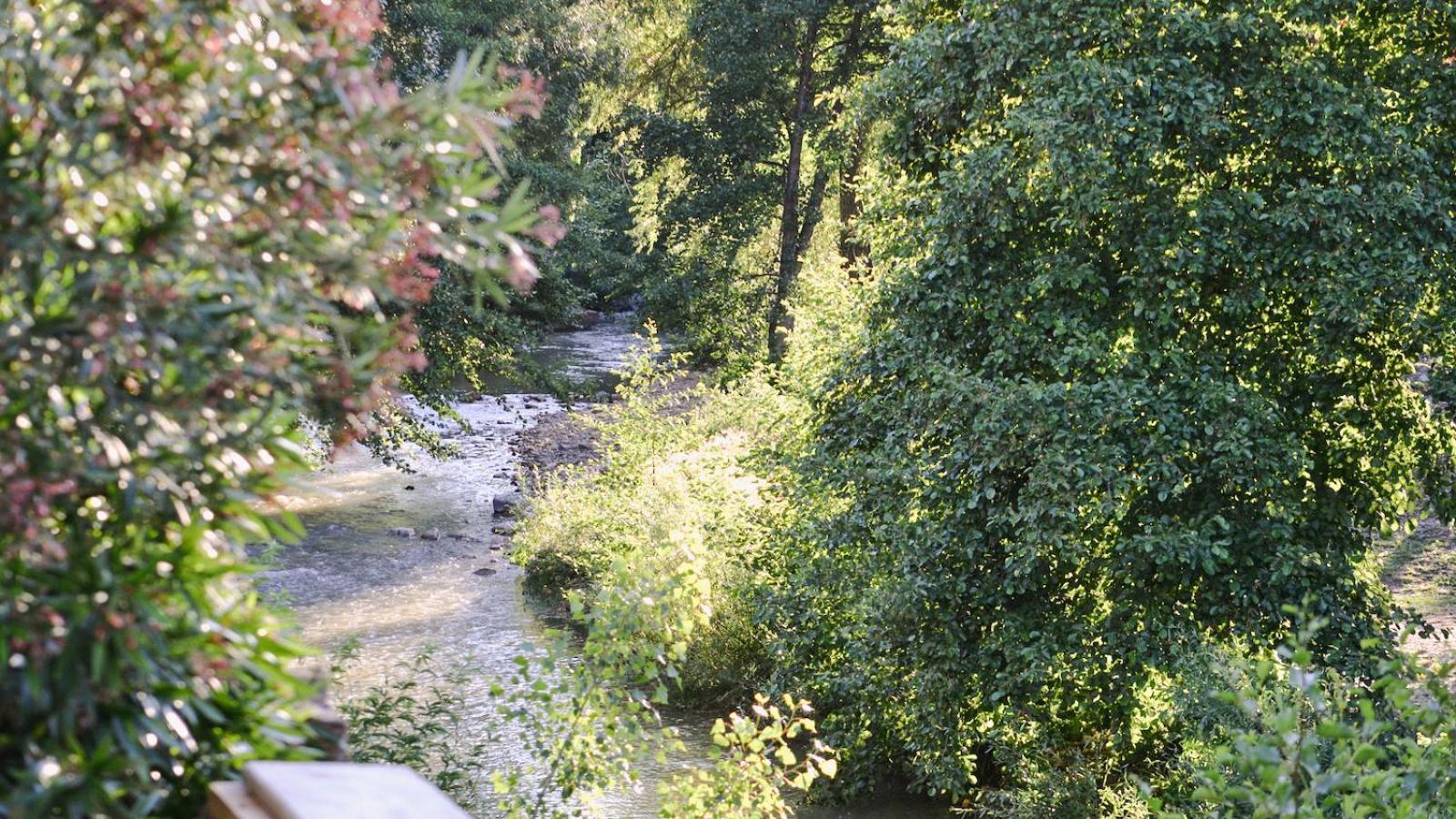 Gites De La Soulondre Lodève 외부 사진
